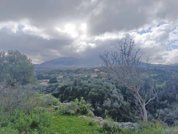 980 m² Land for Sale in Alikampos, Apokoronas — photo 4