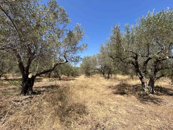 1,616 m² Plot for Sale in Nerokourou, Chania — photo 3