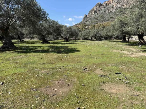 6,026 m² Plot of Land for Sale in Paleochora, Kandanos-Selino — photo 5