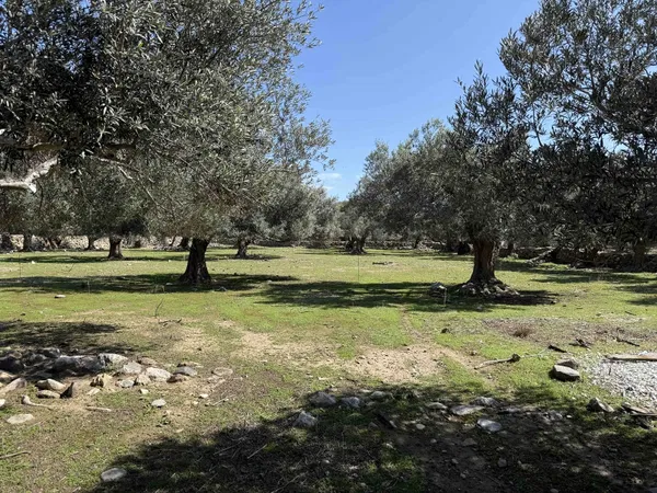 6,026 m² Plot of Land for Sale in Paleochora, Kandanos-Selino — photo 4
