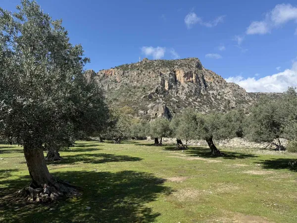 6,026 m² Plot of Land for Sale in Paleochora, Kandanos-Selino — photo 3