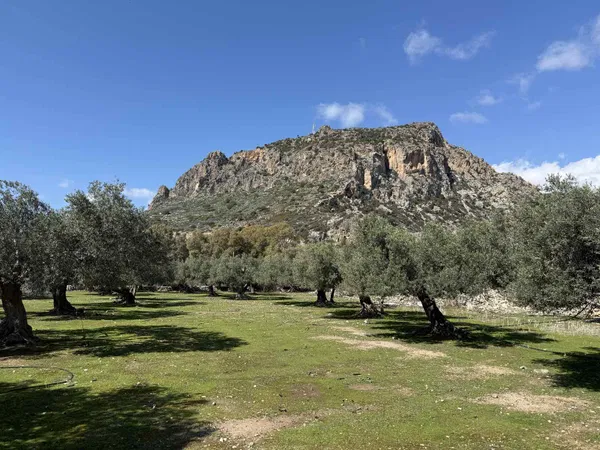 6,026 m² Plot of Land for Sale in Paleochora, Kandanos-Selino