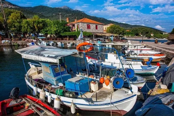 4,148 m² Land for Sale in Lesvos, Eastern Aegean — photo 3