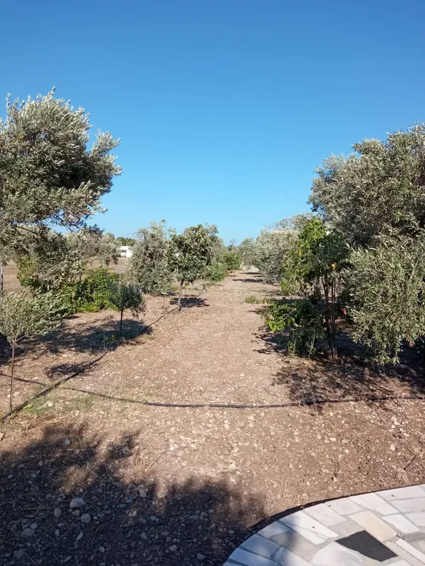 90 m² Villa with Two Bedrooms for Sale in Rhodes, Dodecanese Islands — photo 5