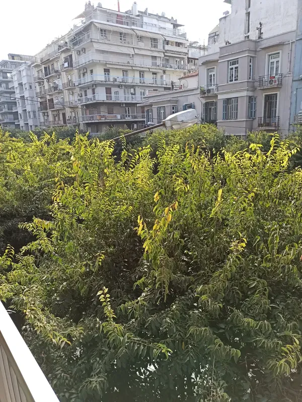 Renovated 45 m² Apartment with One Bedrooms for Sale in Center Thessaloniki, Thessaloniki Center — photo 2