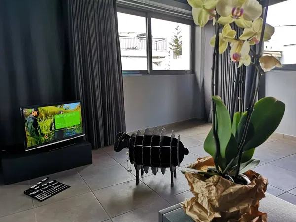 58 m² Renovated One-Bedroom Apartment for Sale in Athens Historical Center, Athens Center — photo 5