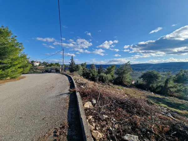 1,009 m² Plot of Land for Sale in Theologos, Fthiotida — photo 4