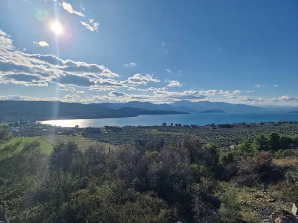 1,009 m² Plot of Land for Sale in Theologos, Fthiotida
