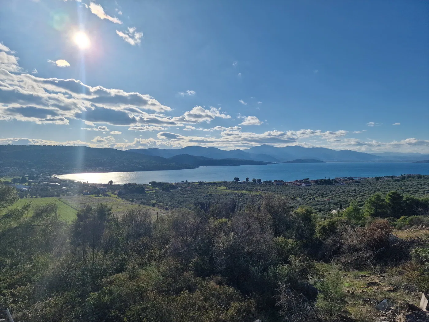1,009 m² Plot of Land for Sale in Theologos, Fthiotida