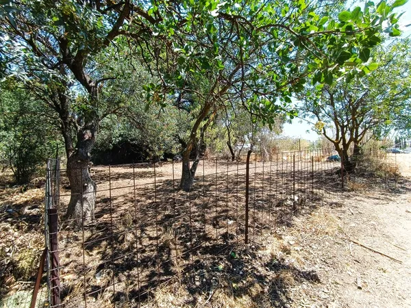 200 m² Plot of Land for Sale in Achlia,Neo Irakleio Athens, Athens Northern suburbs — photo 3