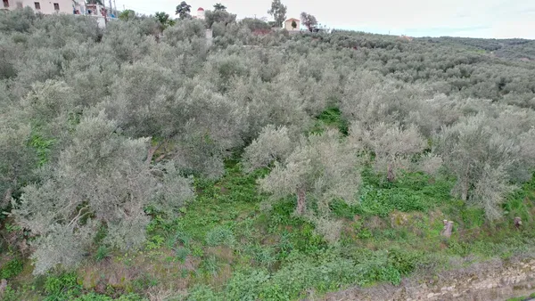 3,670 m² Plot for Sale in Voukolies, Platanias — photo 3