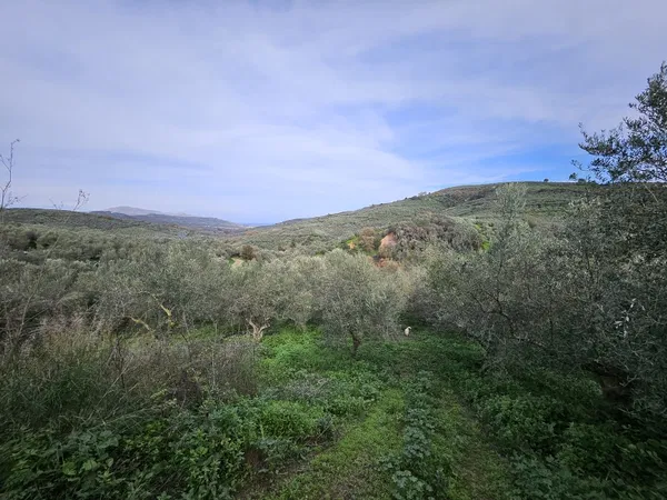 3,670 m² Plot for Sale in Voukolies, Platanias