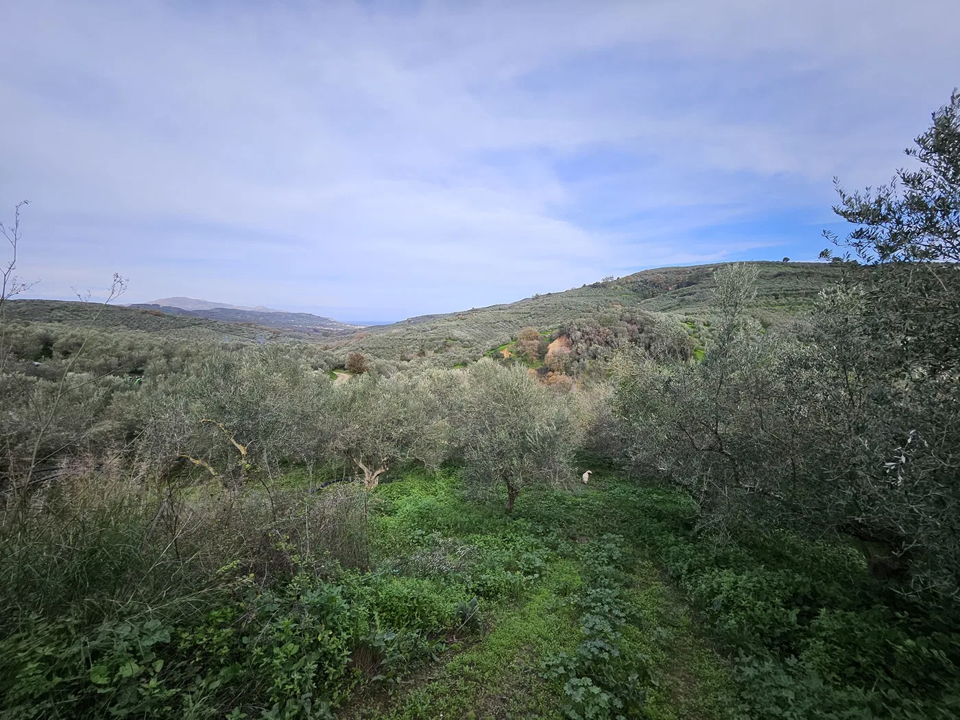 3,670 m² Plot for Sale in Voukolies, Platanias