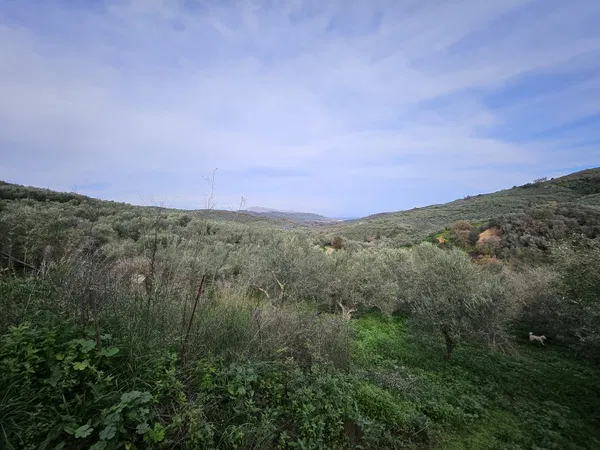 3,670 m² Plot for Sale in Voukolies, Platanias — photo 2