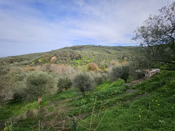 1,950 m² Plot of Land for Sale in Voukolies, Platanias — photo 2
