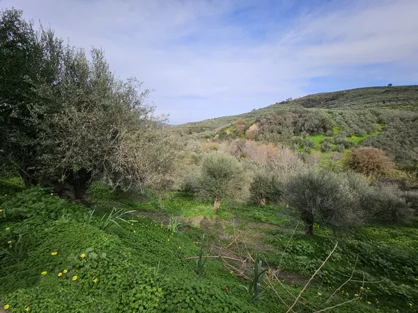 1,950 m² Plot of Land for Sale in Voukolies, Platanias — photo 3
