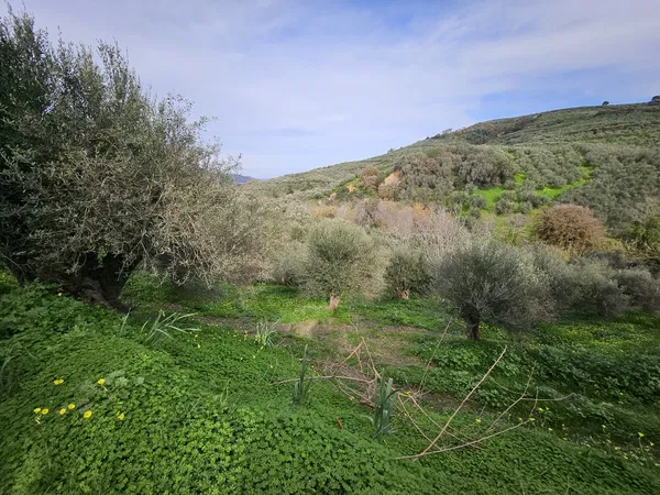 1,950 m² Plot of Land for Sale in Voukolies, Platanias