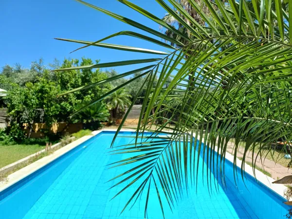 One-Bedroom Apartment for Sale in Tavronitis, Platanias — photo 4