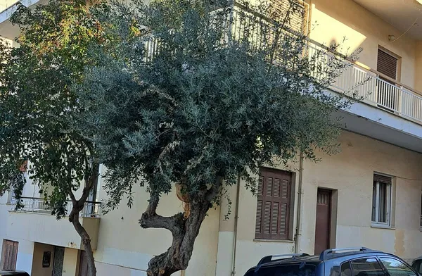 291 m² Building for Sale in Center Athens, Athens Center — photo 2