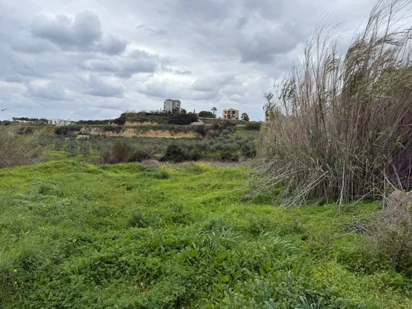 10,224 m² Plot of Land for Sale in Agia Marina, Chania — photo 2