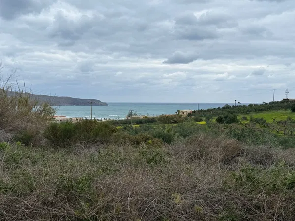 10,224 m² Plot of Land for Sale in Agia Marina, Chania — photo 3
