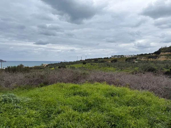 10,224 m² Plot of Land for Sale in Agia Marina, Chania — photo 5