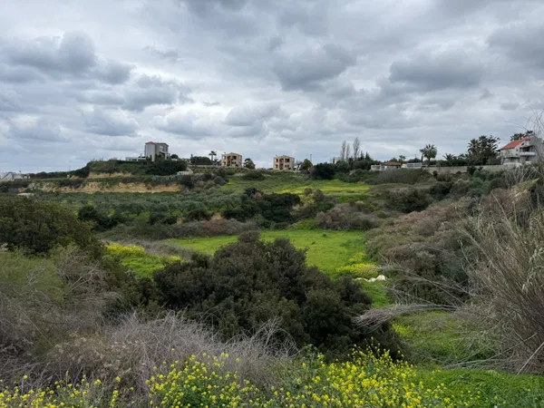 10,224 m² Plot of Land for Sale in Agia Marina, Chania