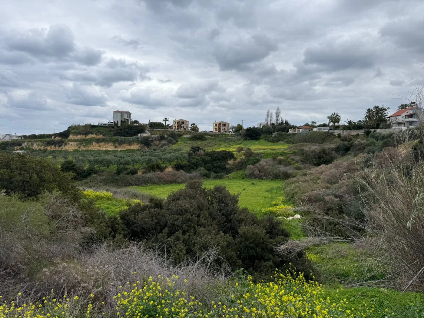 10,224 m² Plot of Land for Sale in Agia Marina, Chania