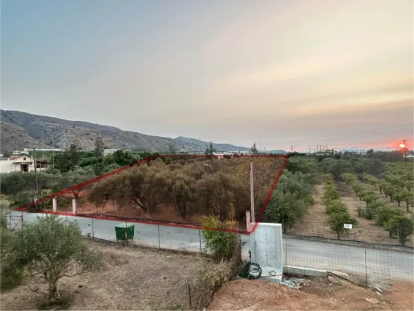 1,616 m² Land for Sale in Chrisopigi, Chania — photo 4