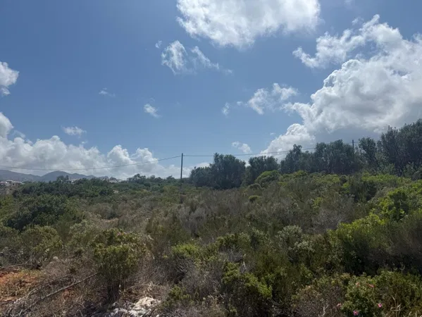 Sea-View 2,061 m² Plot of Land for Sale in Chorafakia, Akrotiri — photo 4