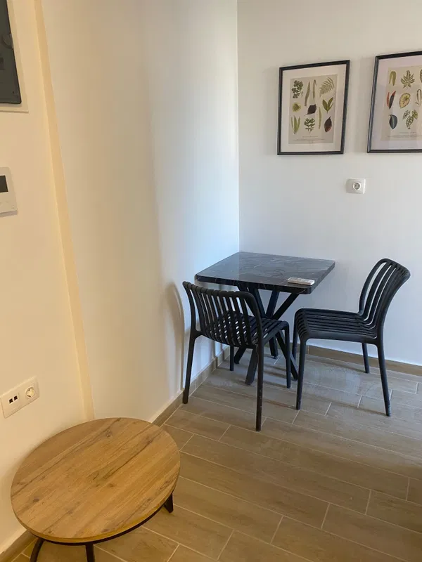20 m² Renovated One-Bedroom Apartment for Sale in Zografou, Athens Center — photo 3