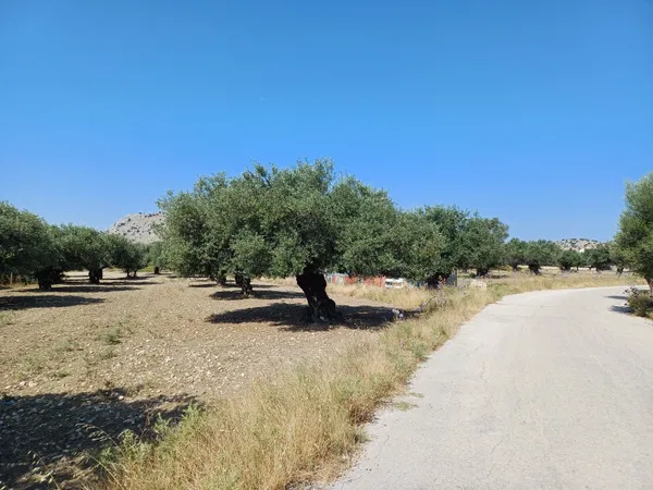 5,240 m² Plot for Sale in Rhodes, Dodecanese Islands — photo 4