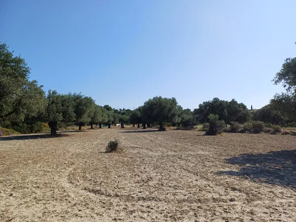 5,240 m² Plot for Sale in Rhodes, Dodecanese Islands