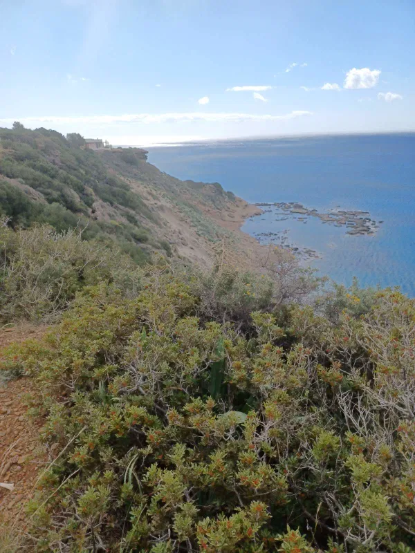 Sea-View 20,000 m² Plot for Sale in Tsoutsouras, Minoa Pediada — photo 4