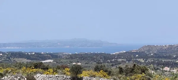 8,184 m² Land for Sale in Gavalochori, Apokoronas