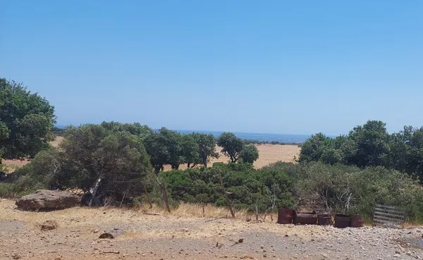 55,000 m² Plot for Sale in Fragkokastelo, Sfakia