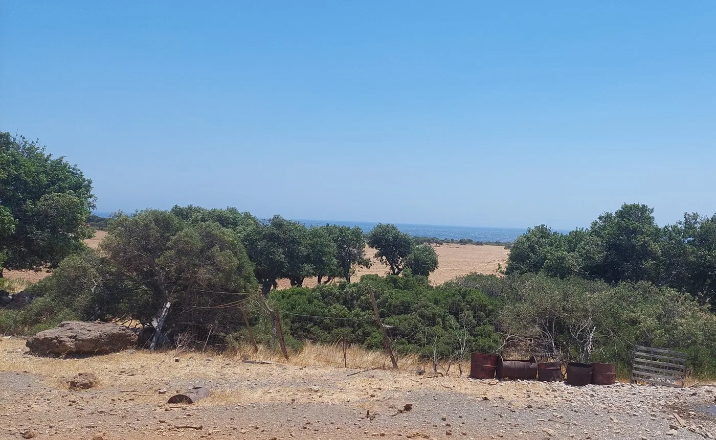 55,000 m² Plot for Sale in Fragkokastelo, Sfakia