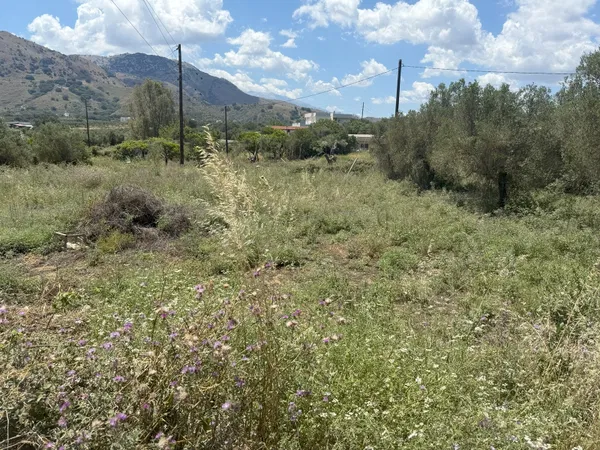 1,000 m² Plot of Land for Sale in Kavros, Apokoronas — photo 5
