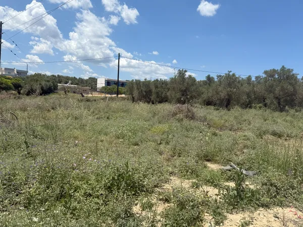1,000 m² Plot of Land for Sale in Kavros, Apokoronas — photo 3