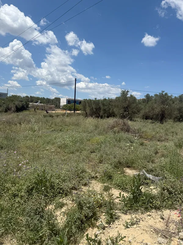 1,000 m² Plot of Land for Sale in Kavros, Apokoronas — photo 2