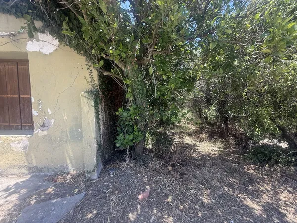7,000 m² Plot for Sale in Neriana, Platanias — photo 2