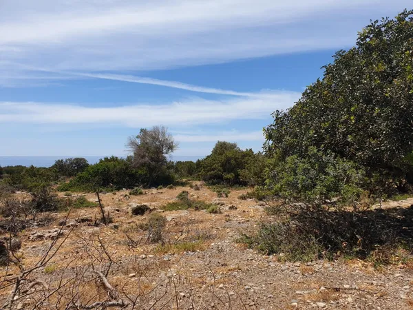 4,007 m² Plot for Sale in Paleochora, Kandanos-Selino — photo 3