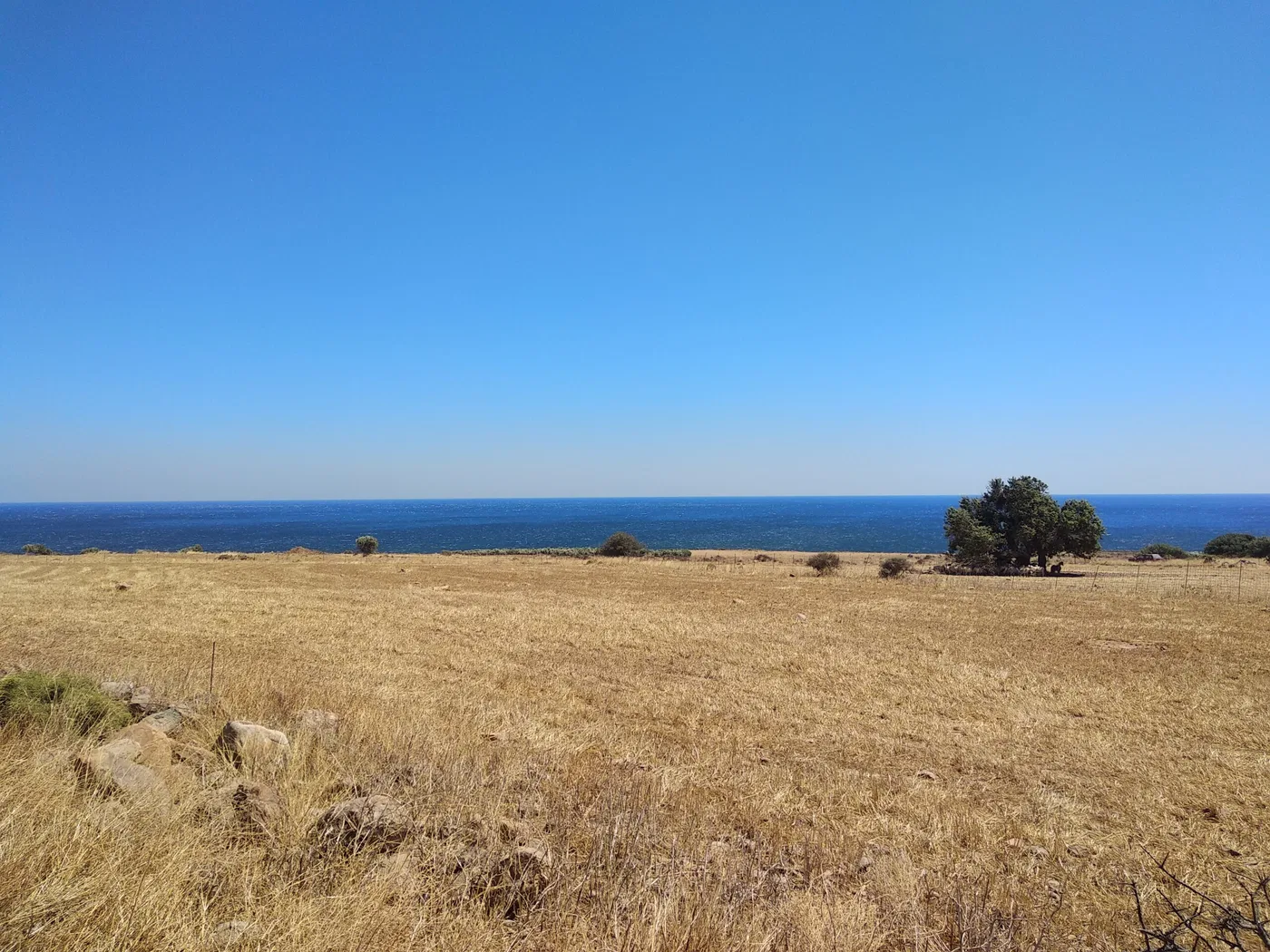 Sea-View 9,469 m² Land for Sale in Fragkokastelo, Sfakia
