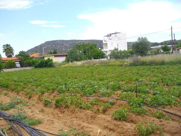 1,530 m² Plot of Land for Sale in Porto Rafti, Attica — photo 2