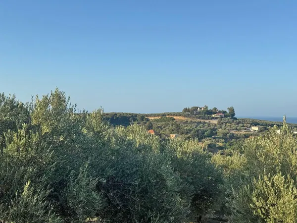 Sea-View 2,500 m² Plot of Land for Sale in Xamoudochori, Platanias