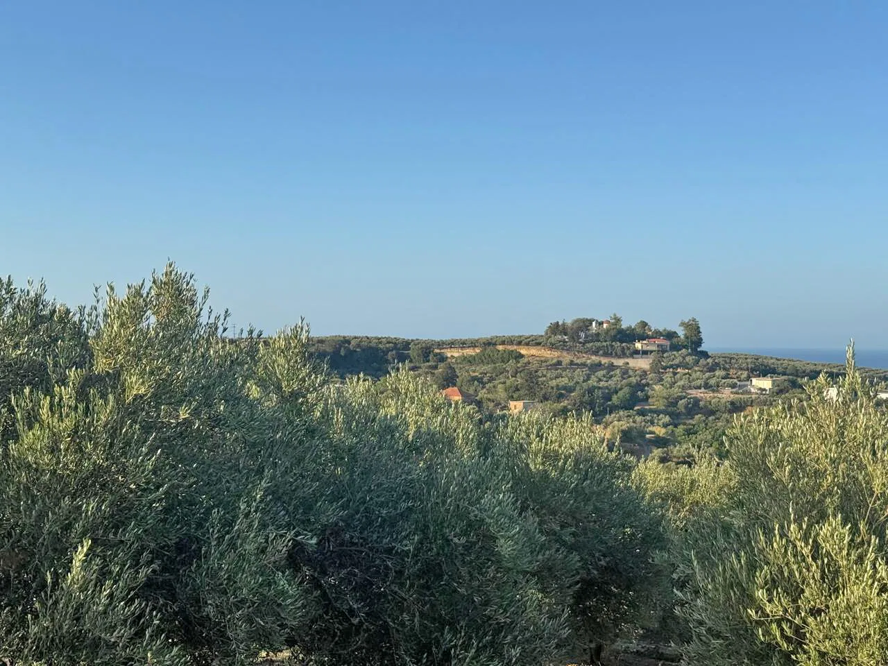 Sea-View 2,500 m² Plot of Land for Sale in Xamoudochori, Platanias