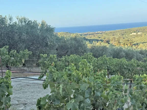Sea-View 3,800 m² Plot of Land for Sale in Xamoudochori, Platanias — photo 4