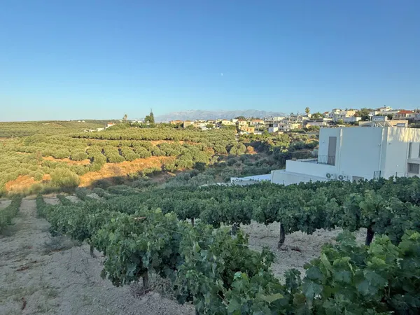 Sea-View 3,800 m² Plot of Land for Sale in Xamoudochori, Platanias — photo 5