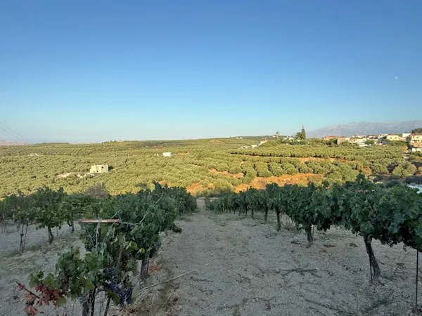 Sea-View 3,800 m² Plot of Land for Sale in Xamoudochori, Platanias — photo 2