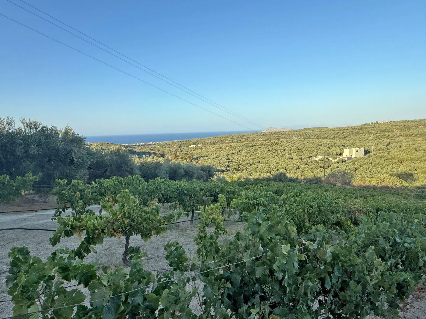 Sea-View 3,800 m² Plot of Land for Sale in Xamoudochori, Platanias